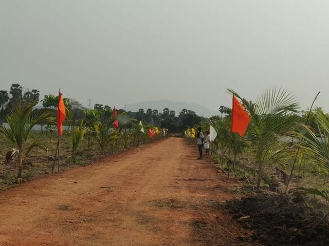346 Sq.Yd. Plot in Thummapala Anakapalle Listing ID: #9791