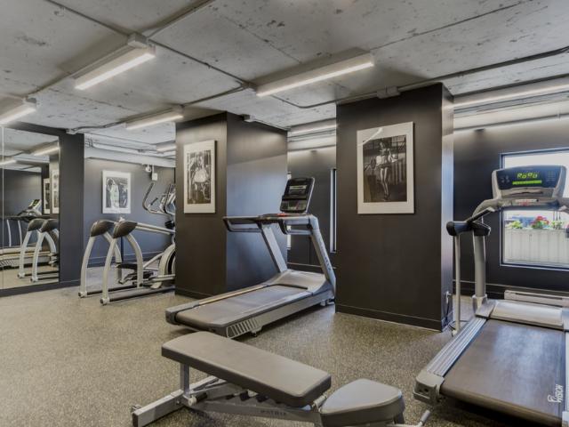 3475 Rue de la Montagne Beautiful and Bright Studio Apartment for Rent!