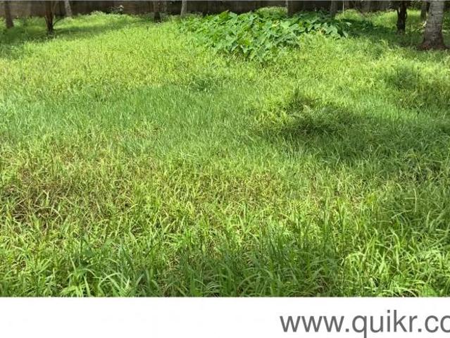 3485 sq. ft. Residential plot for Sale in Kalady, Trivandrum