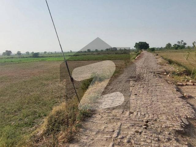 34 Kanal Agricultural Land Available For Sale at Jati Umra Road, Lahore | Prime Farming & Investment Opportunity