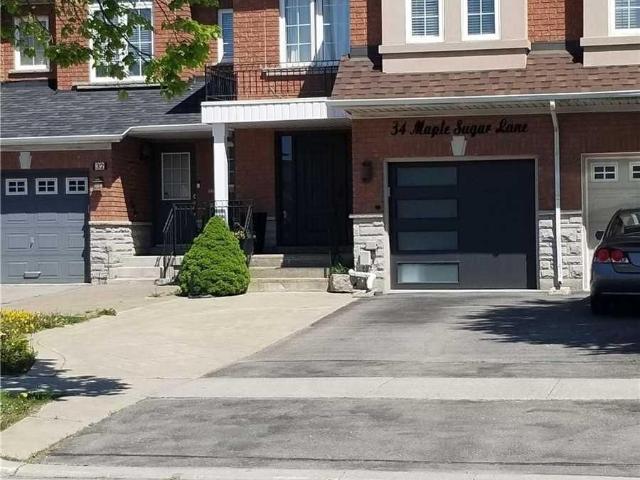34 Maple Sugar Lane, Thornhill | For Rent @ $1,780 | Condos. Ca