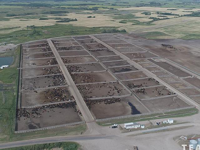34 +/ Quarters. Great Opportunity selling In 25 Parcels