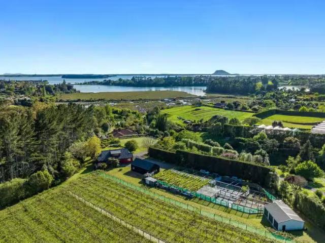 34B Jess Road, Whakamarama, Western Bay Of Plenty