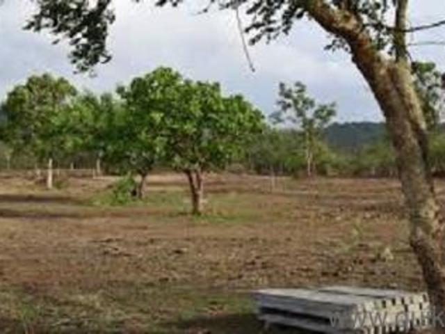 3500 Sq. ft Plot for Sale in Pirangut, Pune