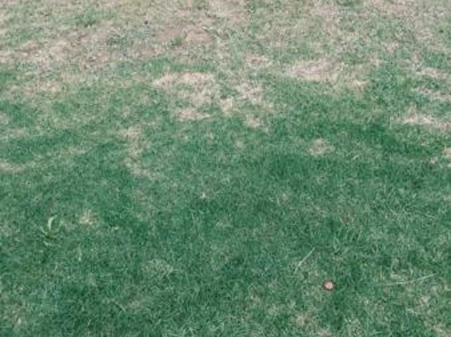 353 m² Land available in Trichardt