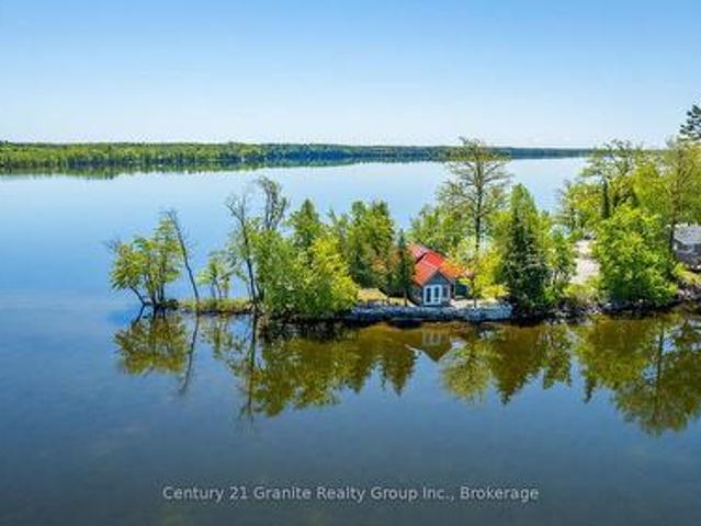359 Avery Point Road, Kawartha Lakes Carden, ON, L0K 1W0 house for sale | Listing ID X12178 | Royal LePage