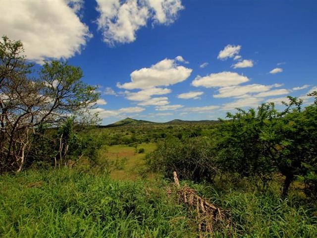359 ha Farm in Hluhluwe