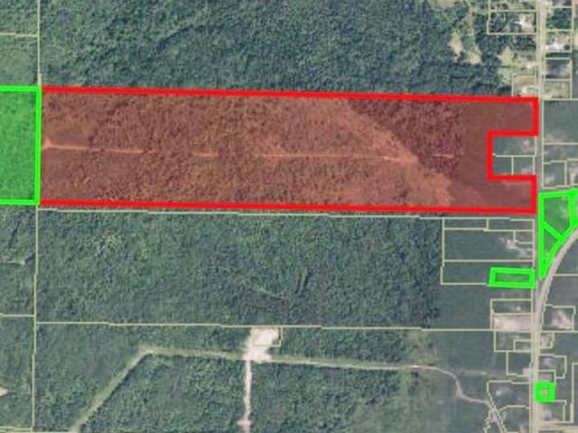 35 Ch Rang 7 Et 8, Kedgwick, NB, E8B 1V8 vacant land for sale | Listing ID NB143458 | Royal LePage