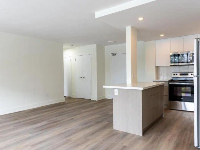 35 David Salomon — 2 Bedroom Renovated