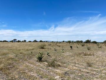35 LOTES PARA CONSTRUCCIÓN DE PARQUE INDUSTRIAL A LA SALIDA A SAN LUIS