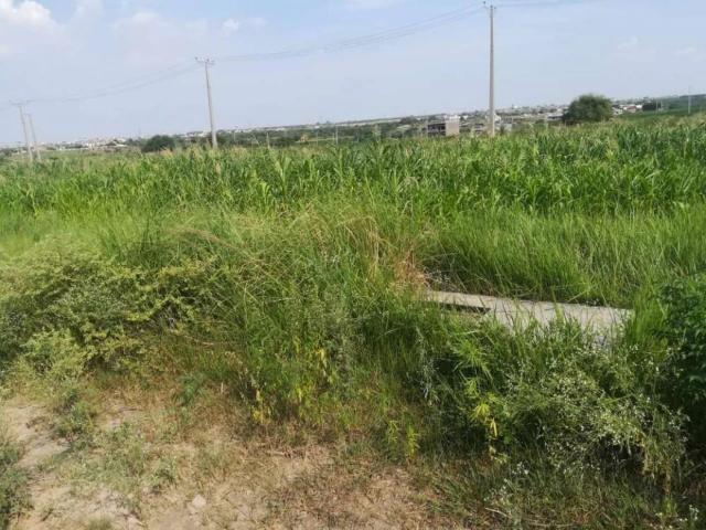 35x60 plot on 50 feet road I 14/3 Islamabad I 14 ID 66680
