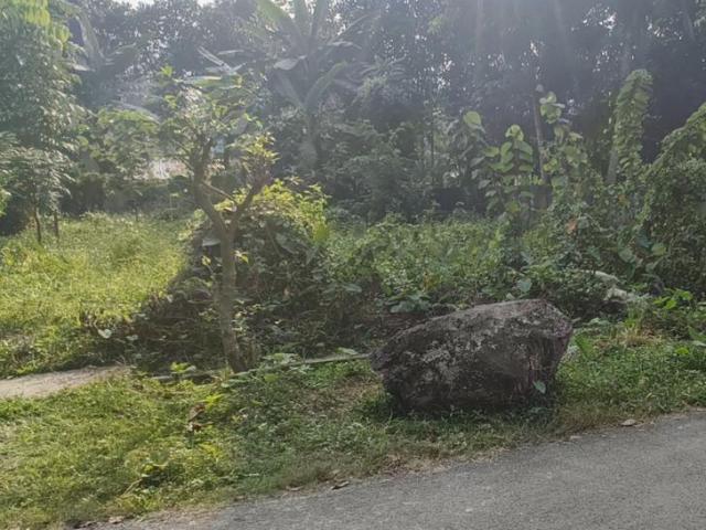 3600 Sq. ft Plot for Sale in Ashok Nagar, Kolkata