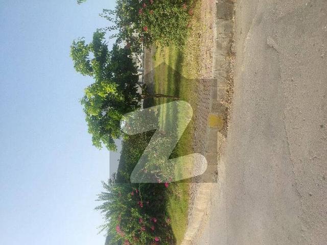 360 Degree View | Main Blvd Corner | Extra Land Plot For Sale