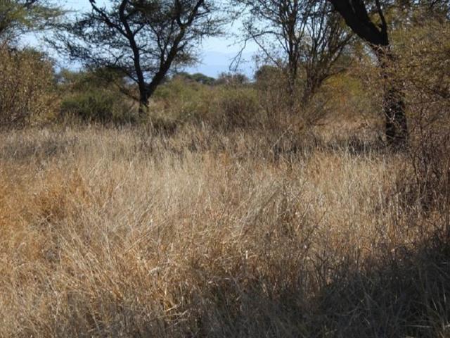 362 m² Land available in Northam