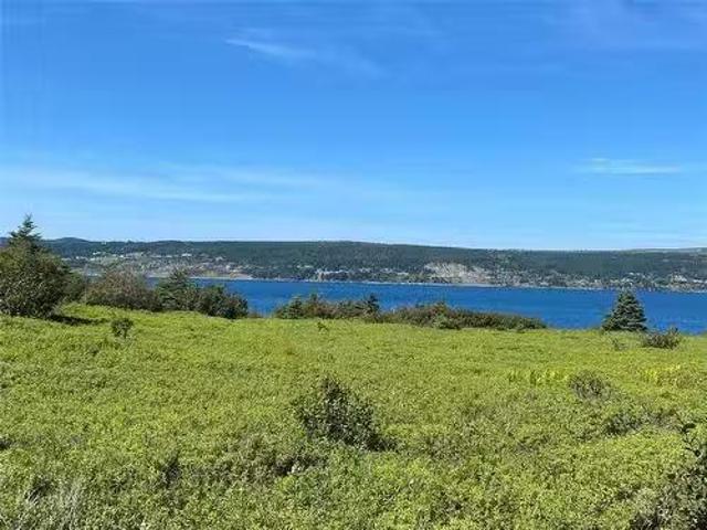 365 Central Street, Bay Roberts, NL, A0A 1G0 vacant land for.