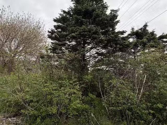 3661 Highway 217, East Ferry, NS, B0V 1E0 vacant land for sa.
