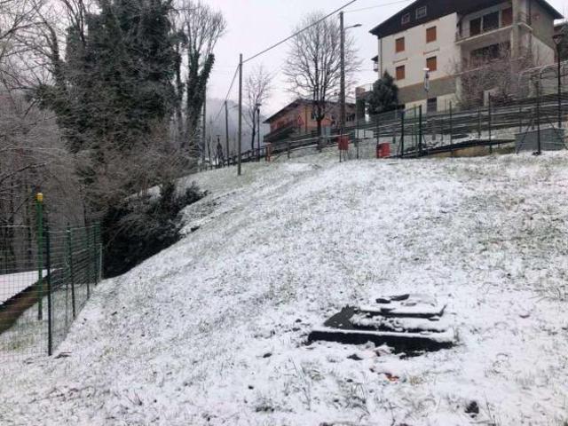 367/2023 3 BG Terreni in asta a Taleggio