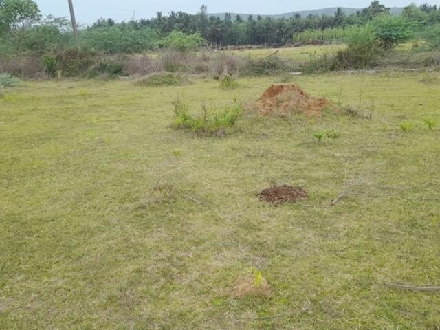 367 Sq.Yd. Plot in Auto Nagar Vizag Listing ID: #10371