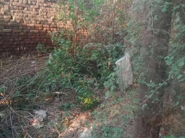 36 37 Dara vellage Okara ID 25421