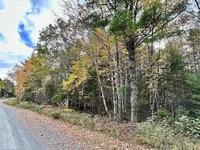 36 Acres Mill Village East Road, Charleston, NS, B0J 2H0 vac.