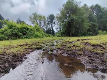 36 Ha de Terreno con manantial y río cerca de Avándaro, Valle de Bravo