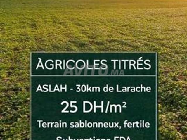 36 hectares agricoles titrés à vendre