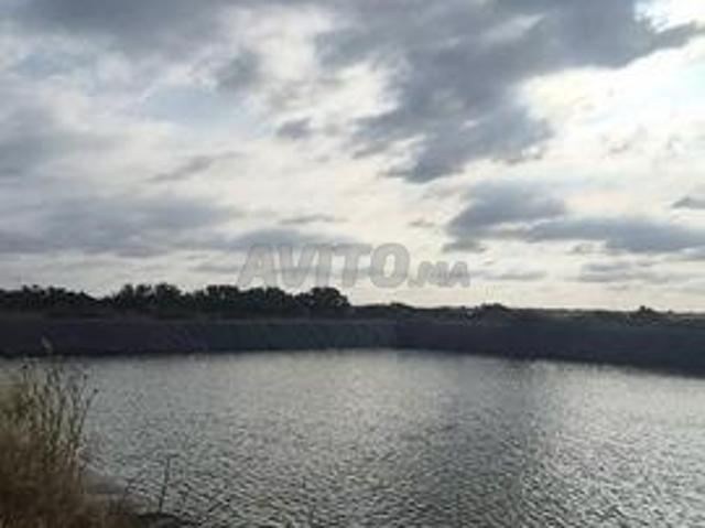 36 hectares El Jadida