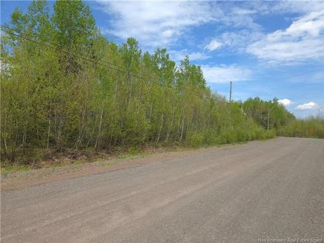 36 Lucas St, Irishtown, NB, E1H 0E4 vacant land for sale | Listing ID NB140079 | Royal LePage