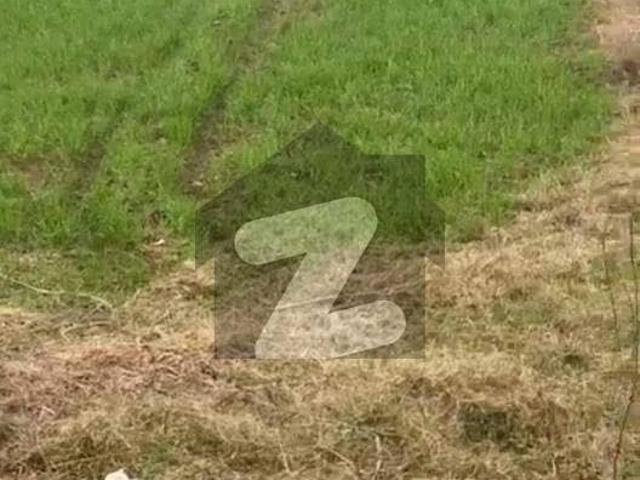 36 Marla Commercial Plot 65 Feet Front Main Jalapur Road