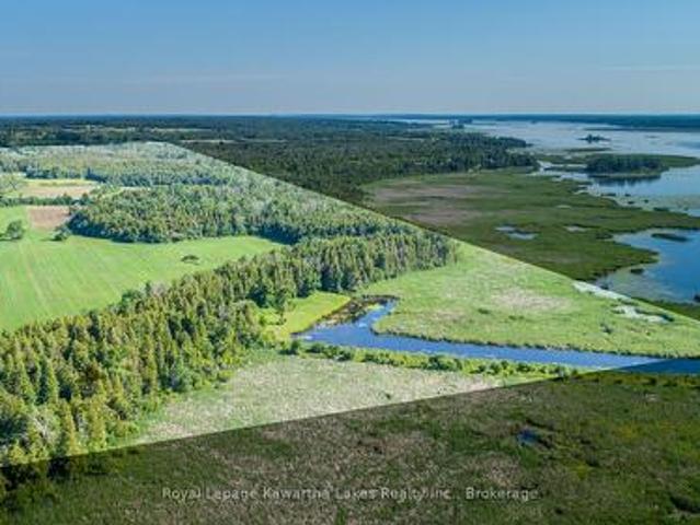 36 Spen Haven Road, Kawartha Lakes Emily, ON, K9V 0K3 vacant land for sale | Listing ID X13505 | Royal LePage