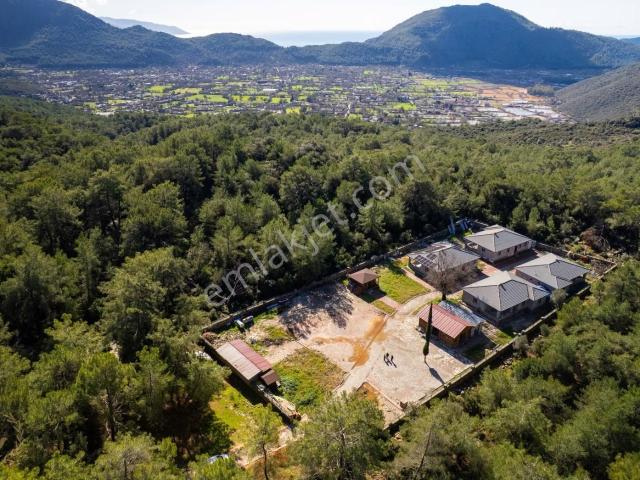 3700m2{kayaköy orman'ın İçinde} 4 Villa Ve Tesis'i Kiralık