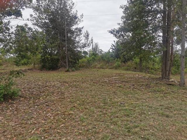 371 m² Land available in Margate