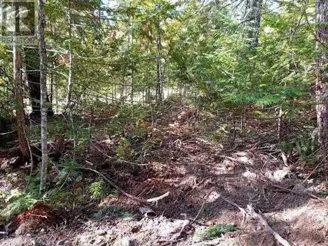 372 Aspen Road, Anglemont, BC, V0E 1M8 vacant land for sale.