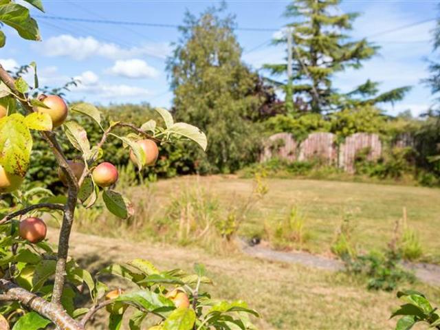 375,000 | Brackernagh, Ballycanew, Gorey, County Wexford Quinn Property Gorey 5022 MyHome. Ie Residential