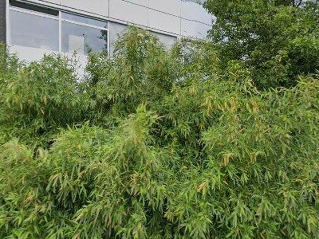 375 m2 office space for rent in Amsterdam Noord