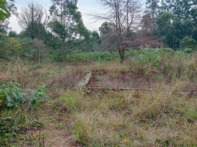 375 m² Land available in Hilton