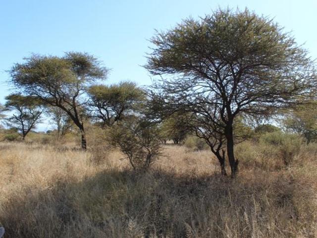 375 m² Land available in Northam