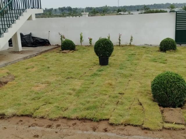 378 Sq.Yd. Plot in Bhogapuram Vizag Listing ID: #9669