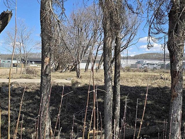 3829 50 St Cold Lake, Alberta