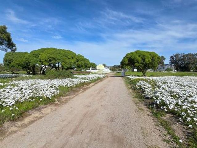 385 m² Land available in Shelley Point