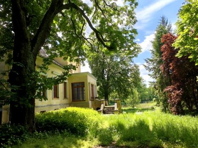 38 650 m², Popowo Kościelne