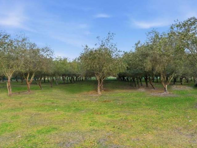 38 Sillano Place, Ohoka, Waimakariri