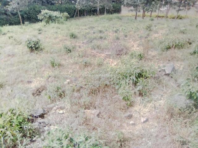3/8th Prime Land