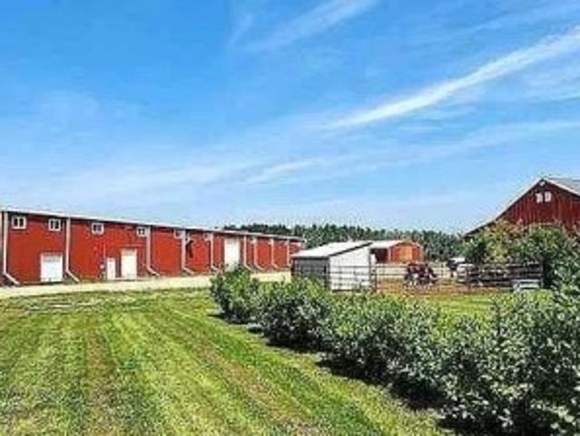 390039 Range Road 54, Alhambra, AB, T0M 0C0 farm for sale | Listing ID A2318 | Royal LePage