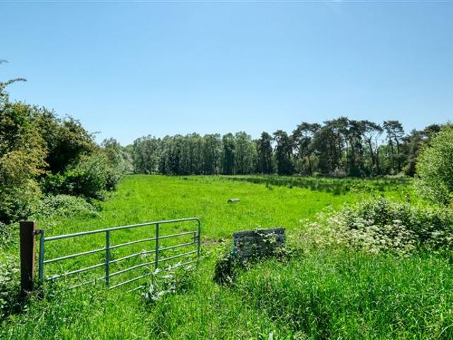 390,000 | Derryadd, Keenagh, Co. Longford Sherry FitzGerald Quinn 5016 MyHome. Ie Residential