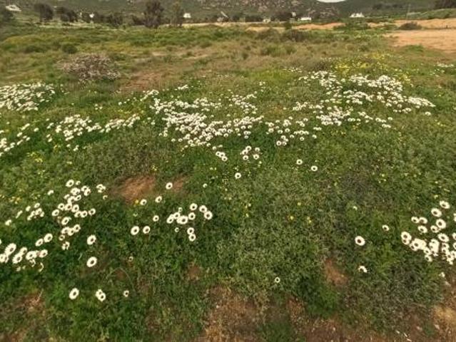 390 m² Land available in St Helena Views