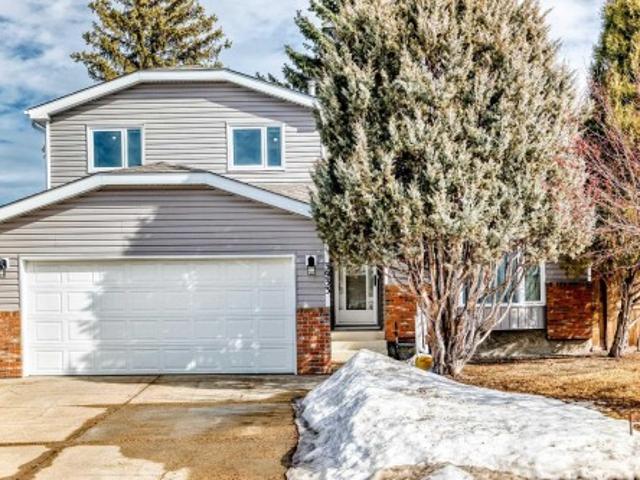3933 B Street, Edmonton, AB, T6J 2X8 house for sale | Listing ID E4477 | Royal LePage