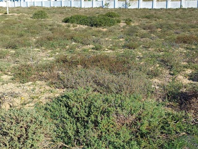 393 m² Land available in Sandy Point