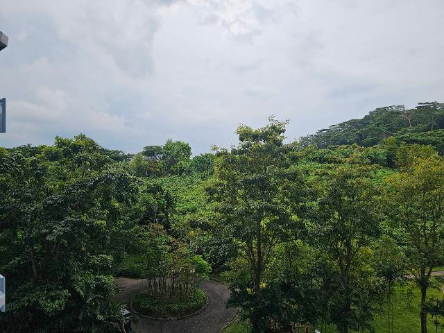 394 Bukit Batok West Avenue 5 HDB Apartment For Sale, $700,000, 4 Bed 2 Bath 1,270 sqft $551.00 psf