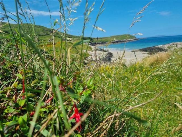 395,000 | Tra Beag Cottage, Culfin, Renvyle, Galway, County Galway Spencer Auctioneers 5014 MyHome. Ie Residential
